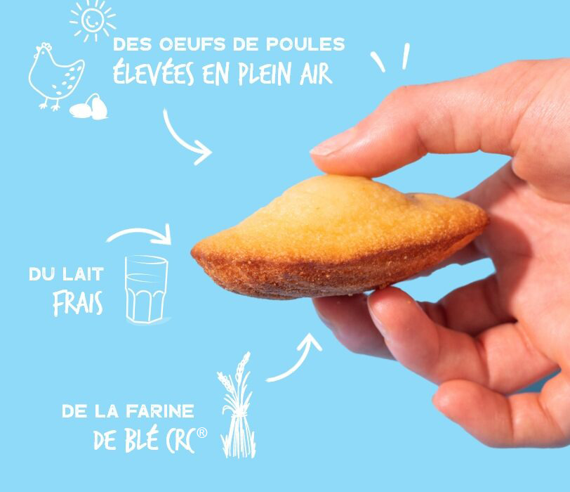 Madeleine vanille -30% de sucre Le Ster