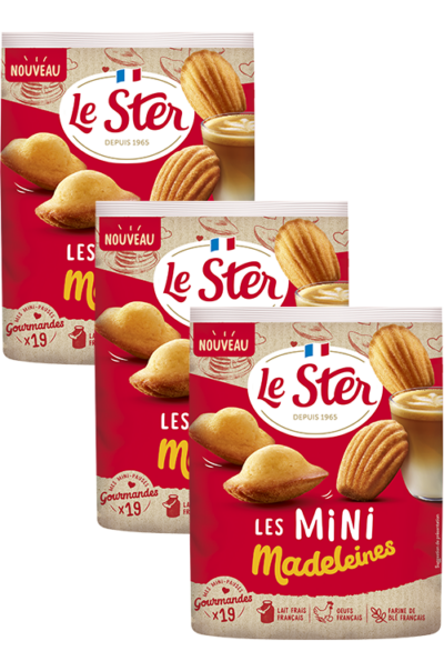 Mini Madeleines Nature